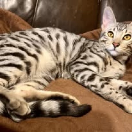 518038603_24885145061086279_7435883450293393058_n